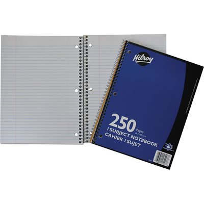 CAHIER LIGNÉ - HILROY - 250 PAGES
