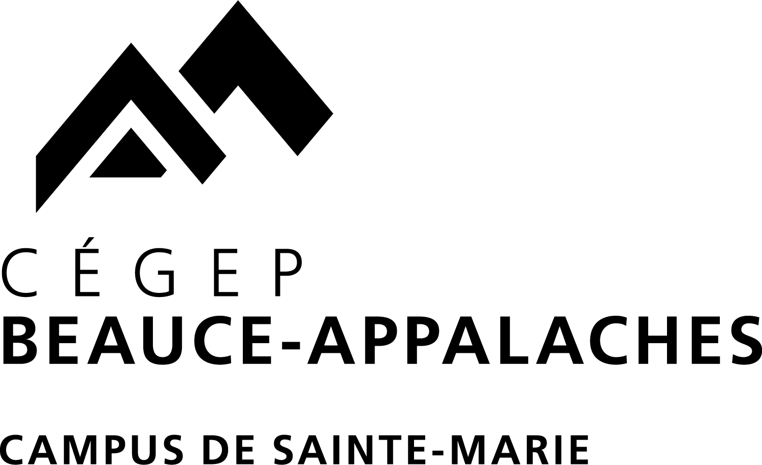 sm-logo-noir